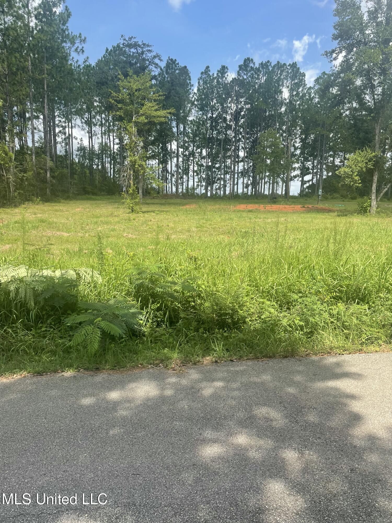 Property Photo:  200 Webb Davis Road  MS 39452 