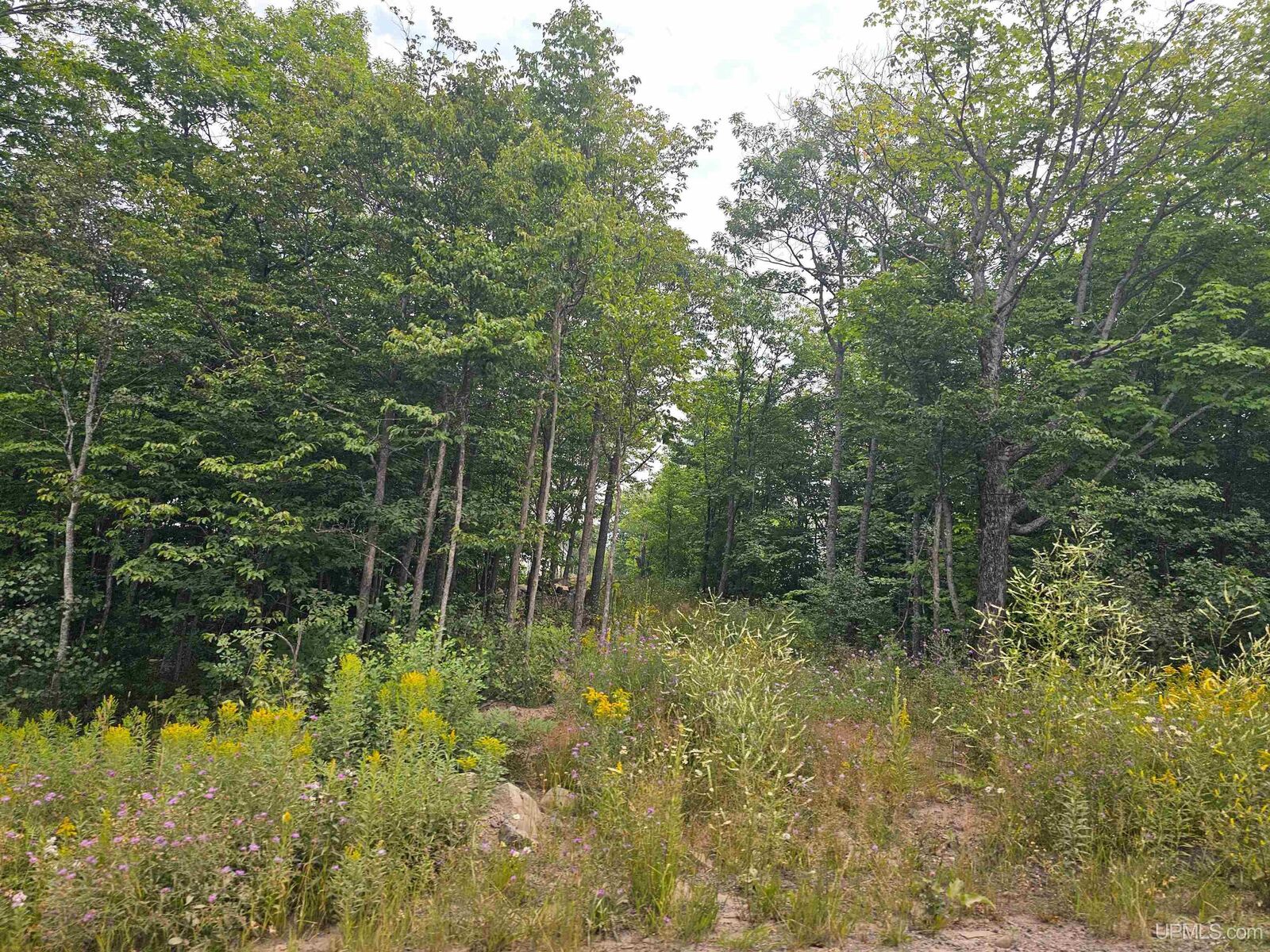 Property Photo:  Tbd 1st And 2nd Street  MI 49913 