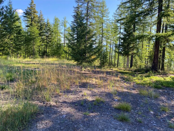 17768 Thornburg Way  Missoula MT 59808 photo