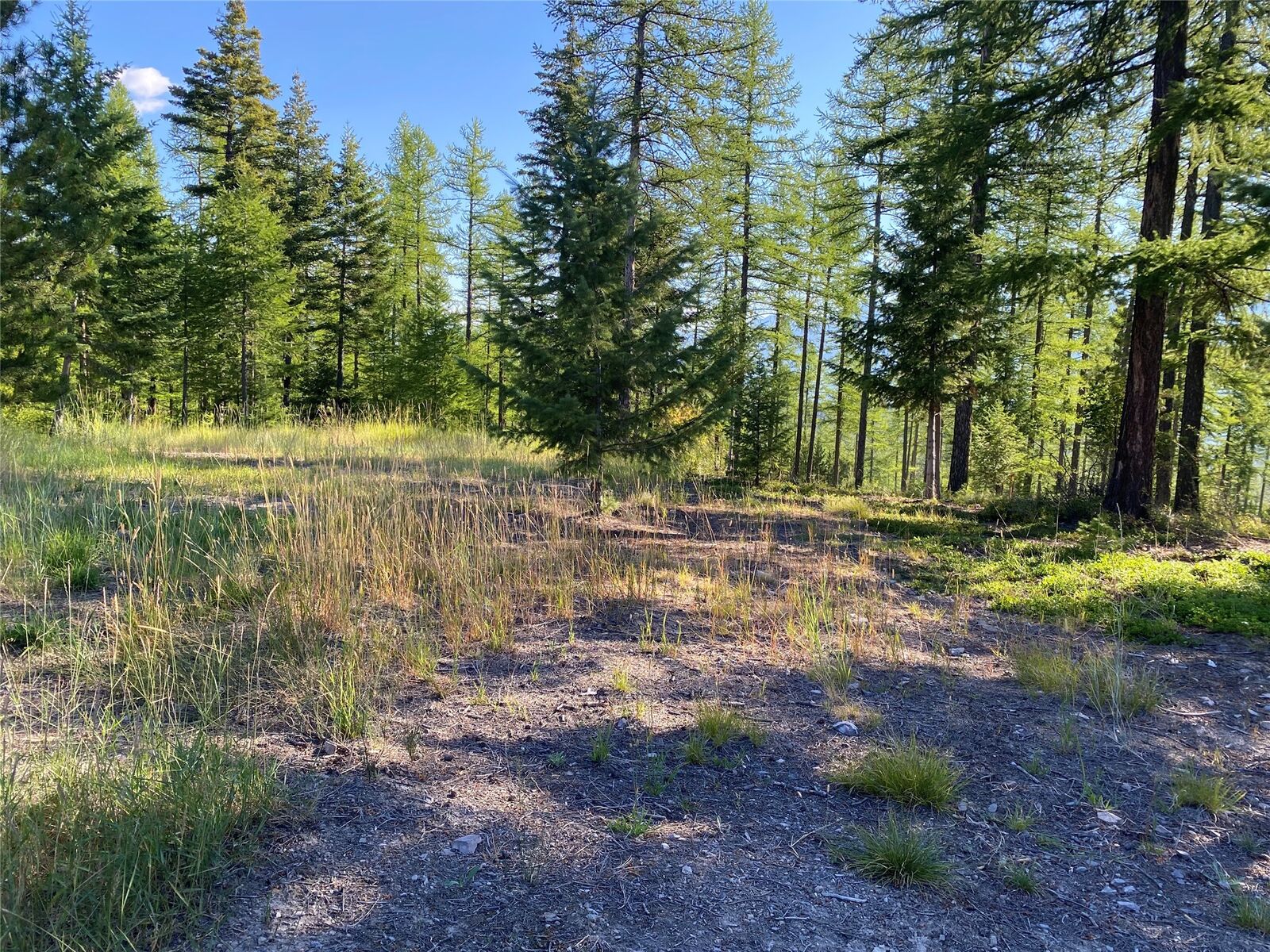Property Photo: 17768 Thornburg Way MT 59808