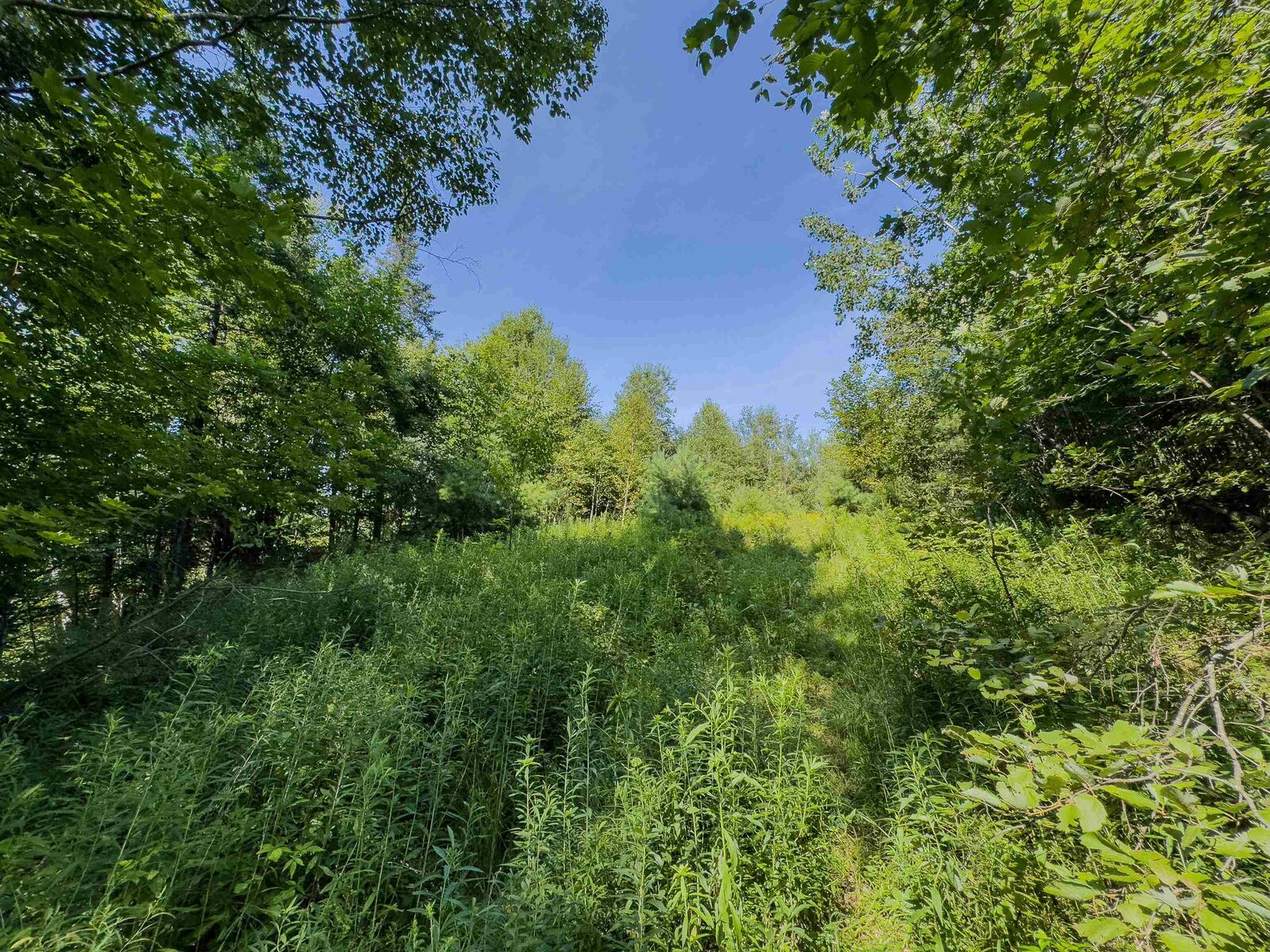 Property Photo: 00 Brushwood Road NH 03765