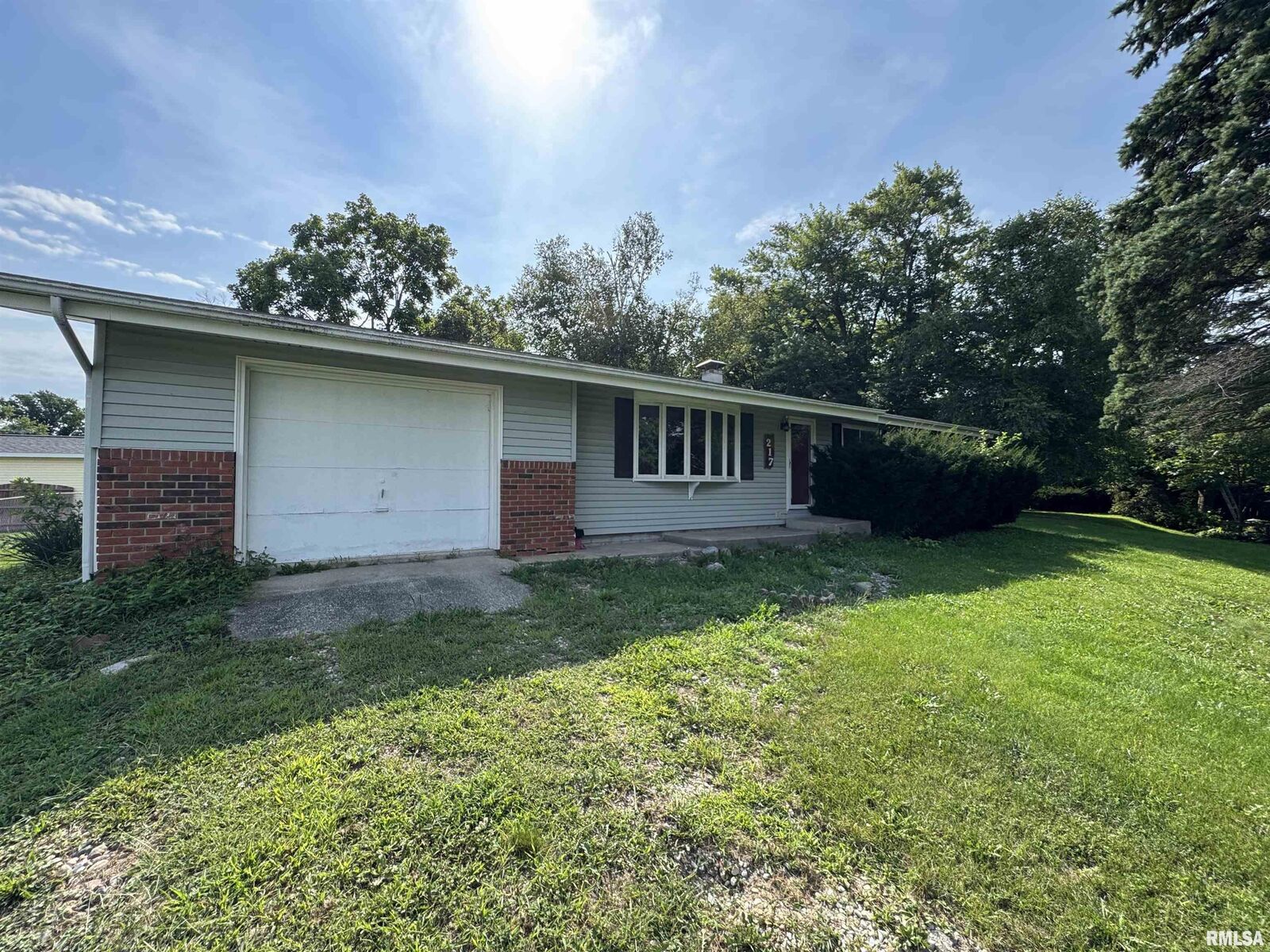 Property Photo: 217 Mill Street IL 61488