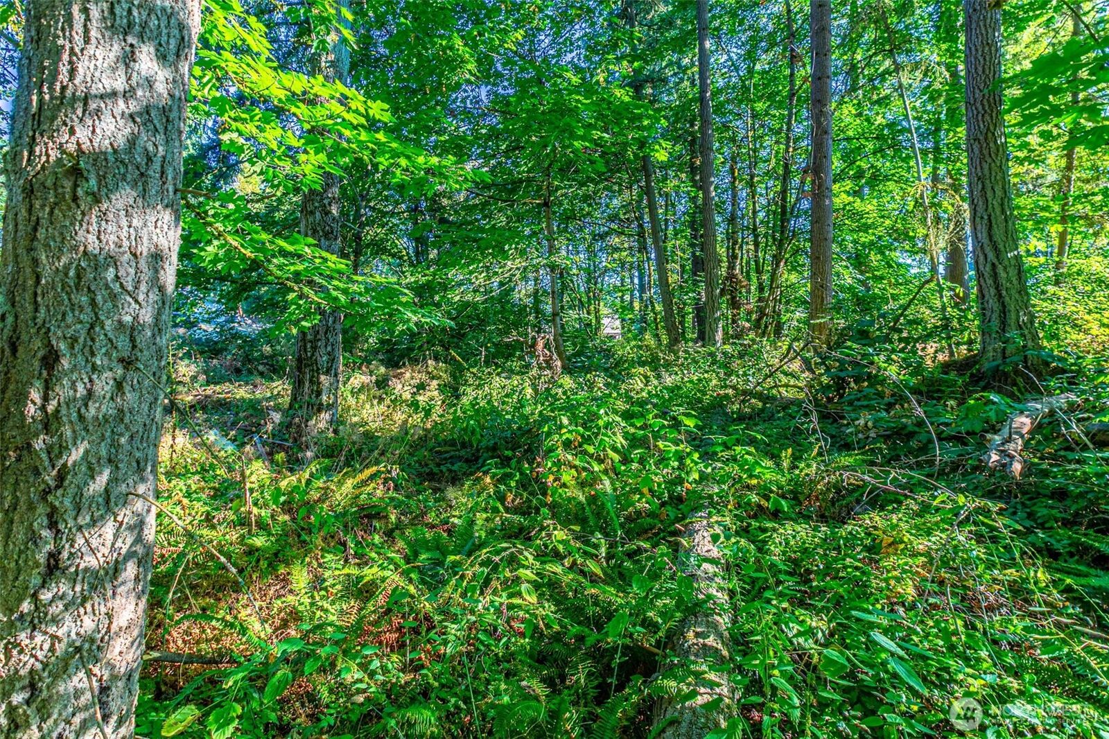 Property Photo:  36922  6th Avenue SW  WA 98023 