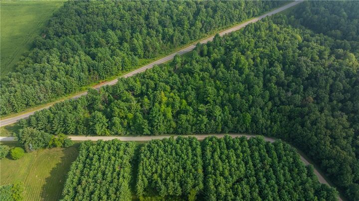 +/- 13 Acres County B / Monthei Rd.  Fairchild WI 54741 photo