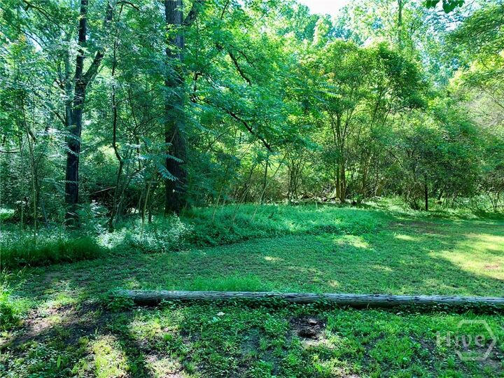 Property Photo:  0 Martin Luther King Jr Drive  GA 30529