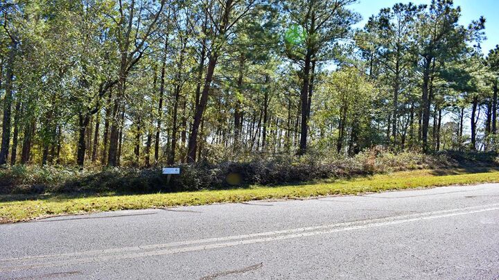 Property Photo:  Lot 5/6 Block A, Mountain View Way  GA 39819 