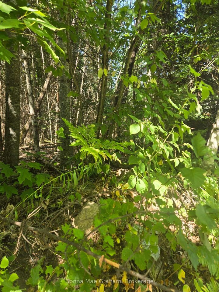 0 Macduff Road Acres E — photo 1