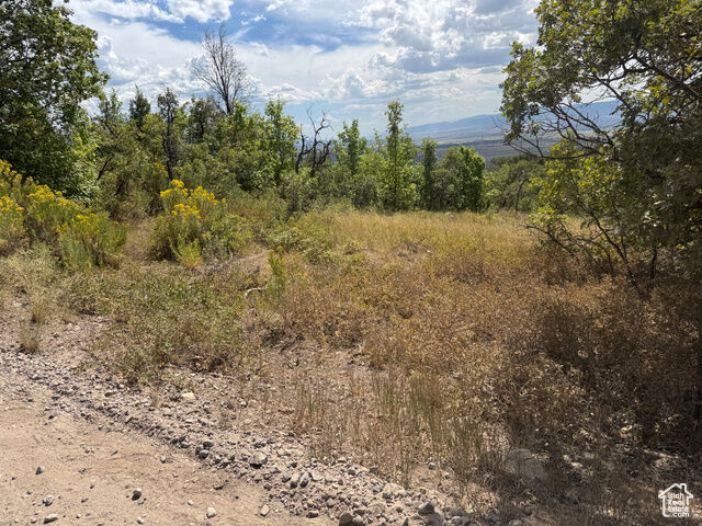 33 M Juniper Dr M-33  Fairview UT 84629 photo