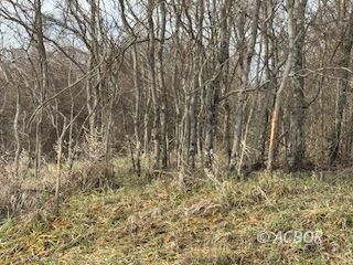 Property Photo:  15750 Bryson  OH 45761 