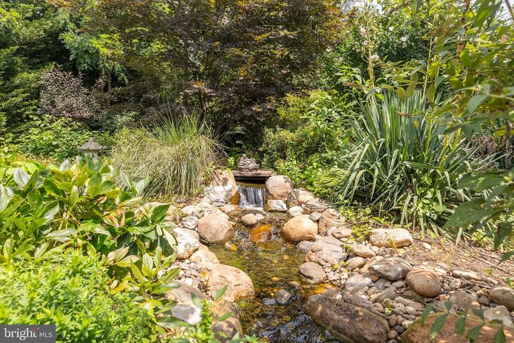 Property Photo:  105 Salvo Circle  VA 22603 