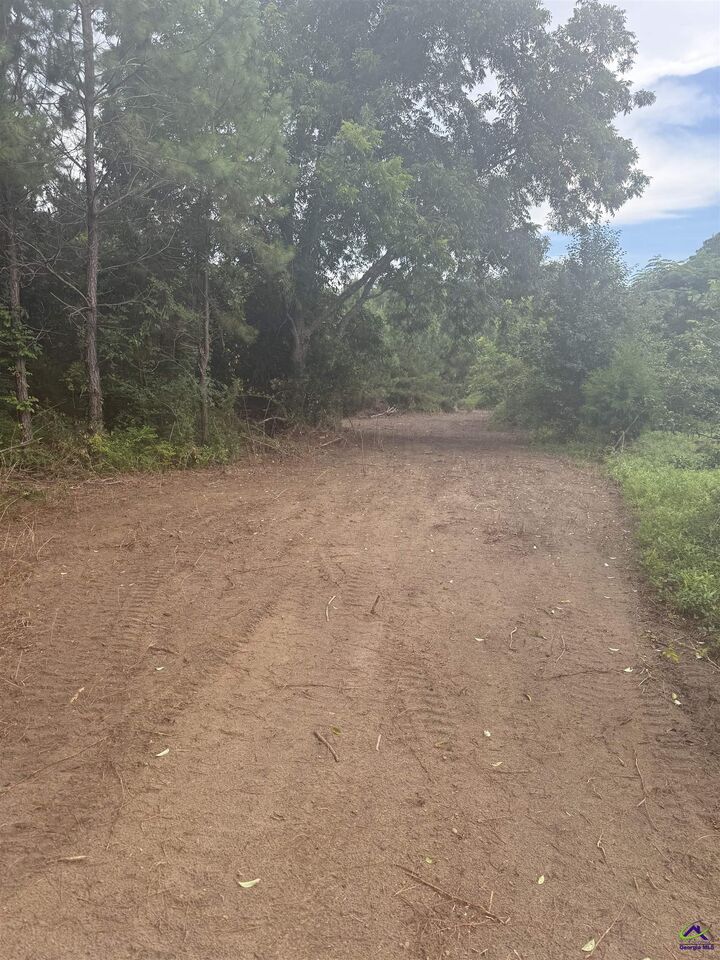 Property Photo:  Unadilla Hwy Lenora Dr.  GA 31036 