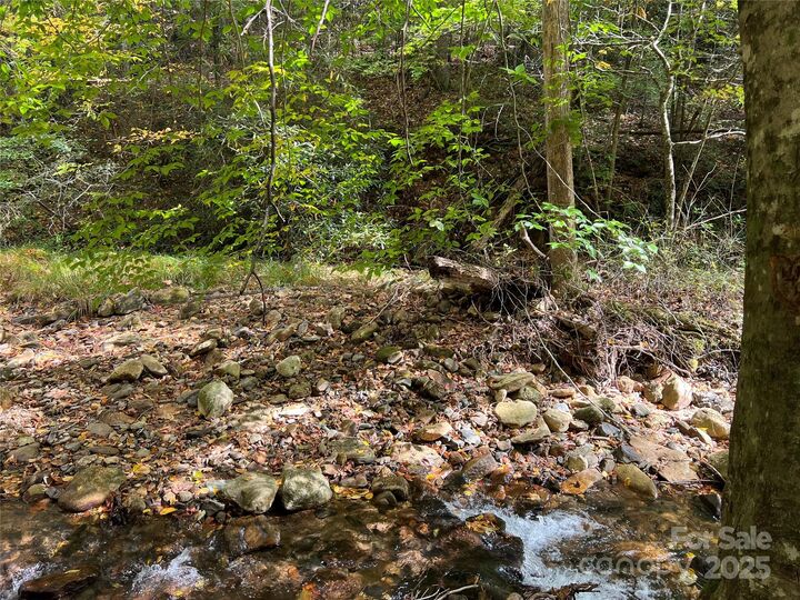 00 Low Gap Road  Hendersonville NC 28792 photo
