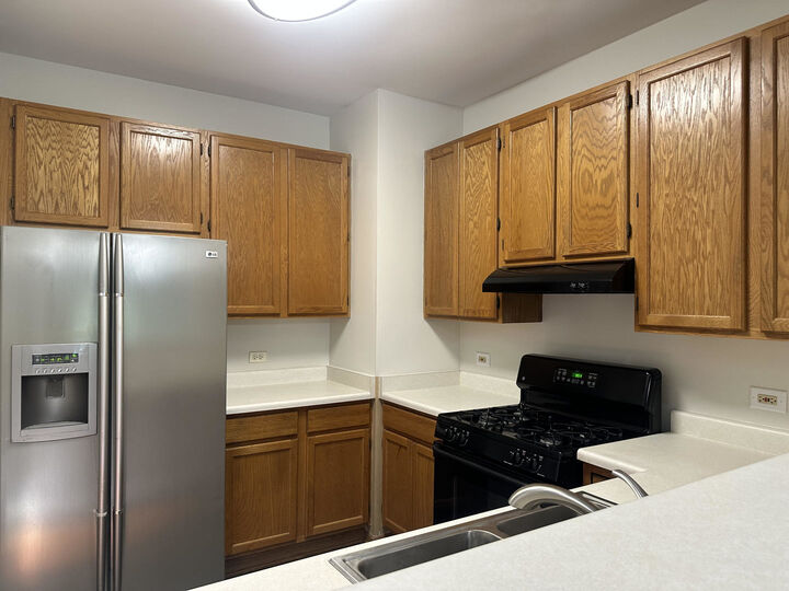 Property Photo:  203 Canterbury Court  IL 60543 