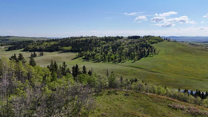 130 Acres Plummers Road W  Rural Foothills County AB T0L 1K0 photo