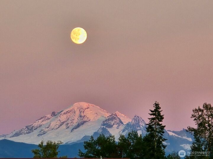 5311  Muriel Dr.  Bellingham WA 98226 photo