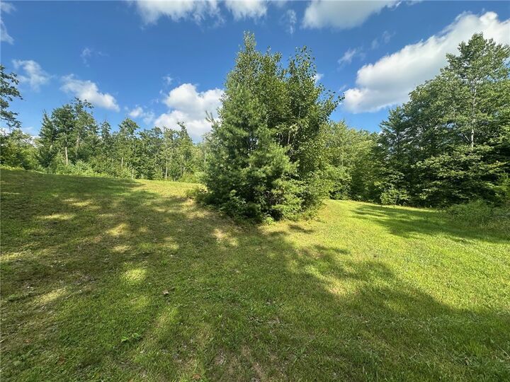 Property Photo:  Lot 1 Tiger Cat Road  WI 54843 