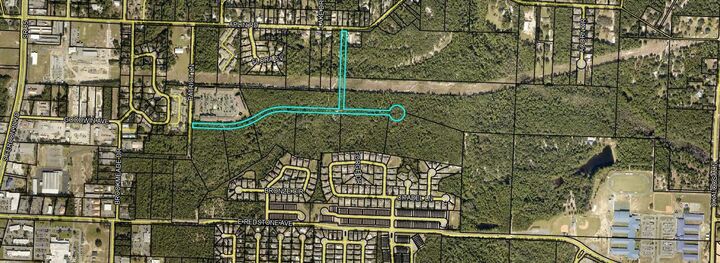 Property Photo: 68+Acres Patriot Lane FL 32539