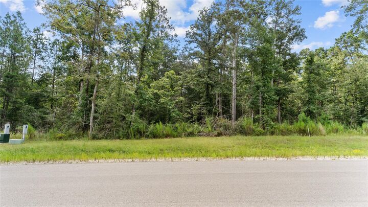 Property Photo: 194 Exploration Road TX 77378