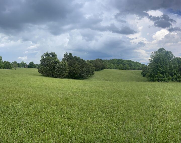 Property Photo:  Lot 23 Parks Ridge  KY 42642 