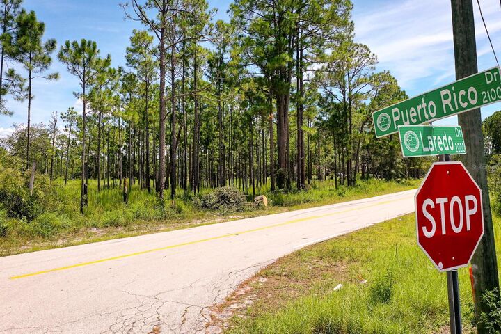 Property Photo: 2074 Laredo Drive FL 32725