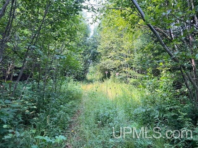 Property Photo:  Tbd Potato Patch Road  MI 49945 