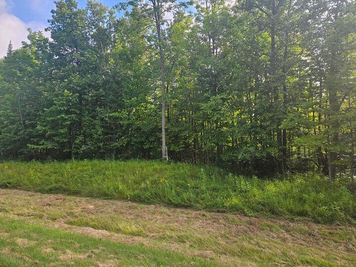 Property Photo: Lt 1 Blk 1 County Rd 238 MN 56636