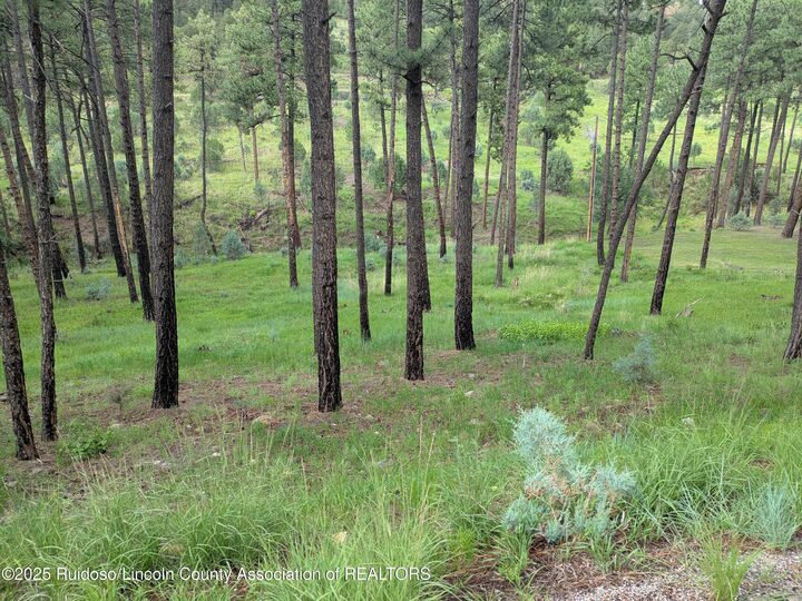 Property Photo:  205 Stable Road  NM 88312 