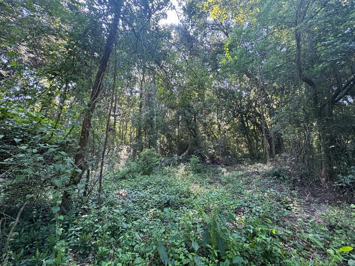 Property Photo:  1511 N Dawson St.  GA 31792 