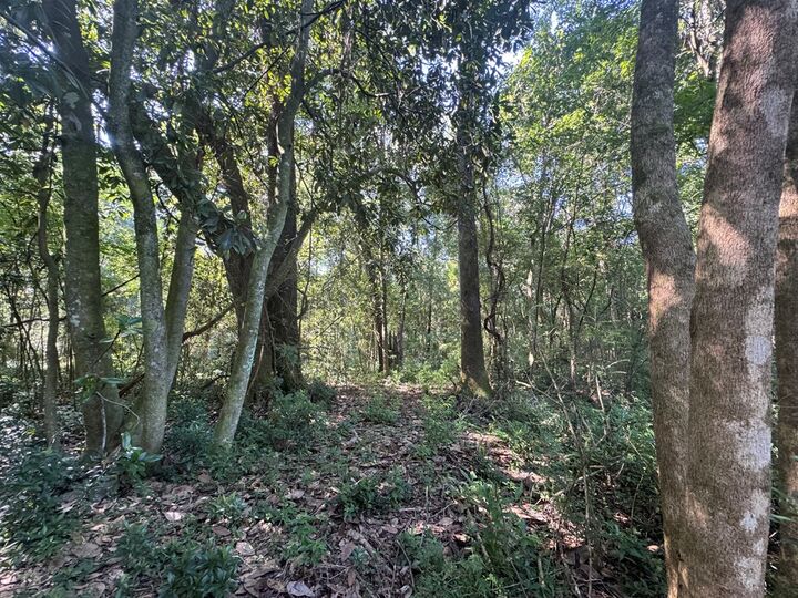 Property Photo:  1511 N Dawson St.  GA 31792 