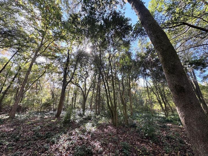 Property Photo:  1511 N Dawson St.  GA 31792 