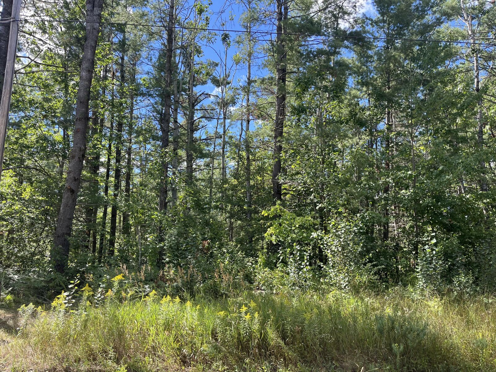 Property Photo: V/L .37 Ac Dorothy Drive MI 49735