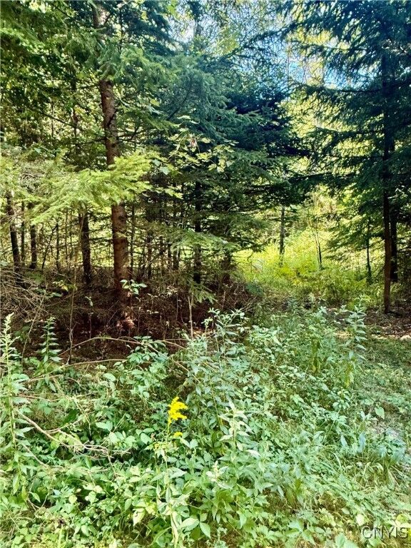 1792 Steve Russell Hill Road  Cincinnatus NY 13040 photo