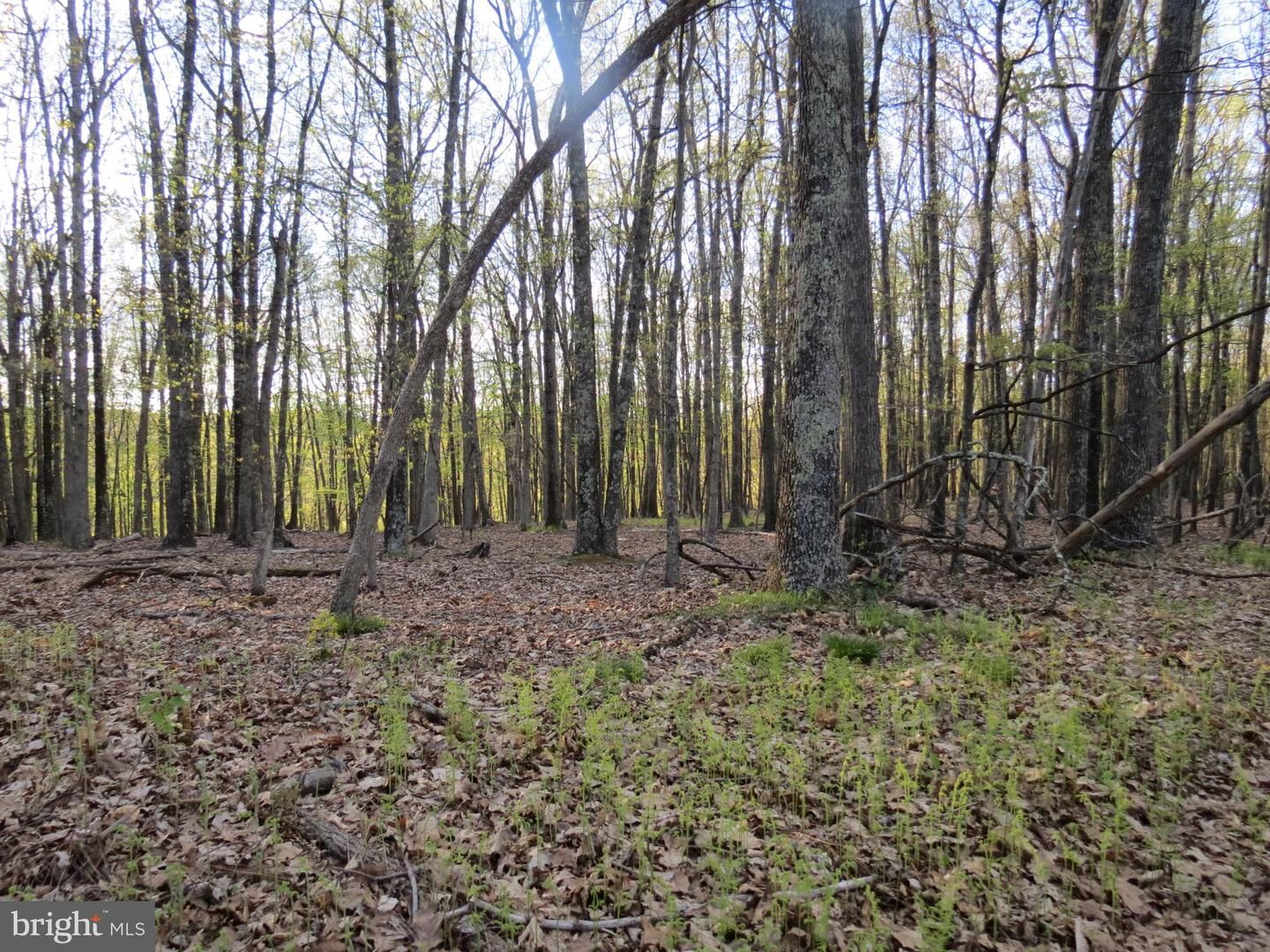 Property Photo:  3 Deep Spring Road  WV 26847 