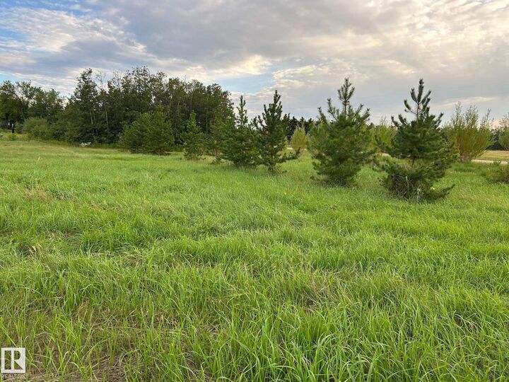 23229 Sh 651 206  Rural Sturgeon County AB T0A 1N6 photo