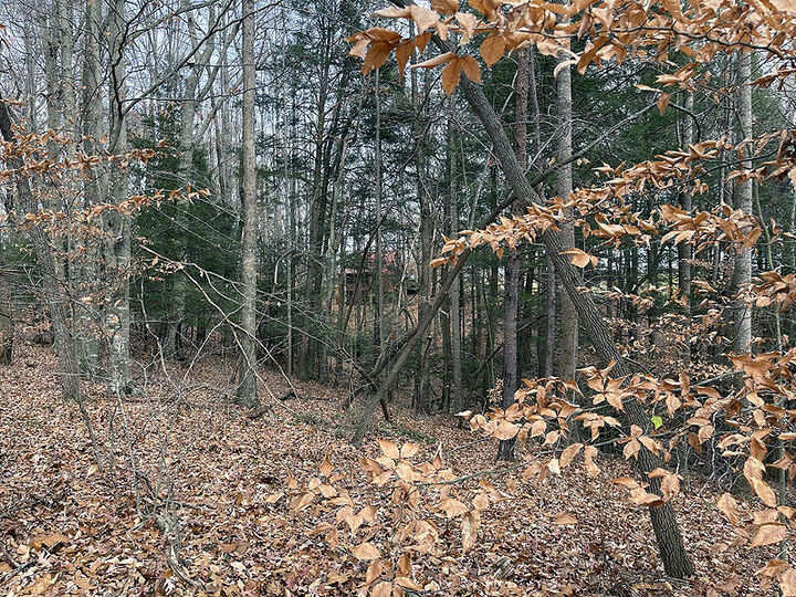 Property Photo:  Lot 189 Stillwater  KY 42642 