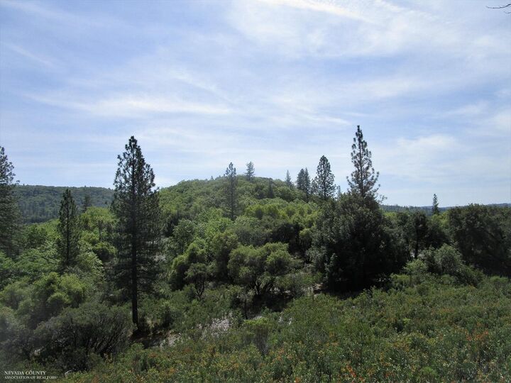Property Photo: 24271 Hoyt Crossing Road CA 95960