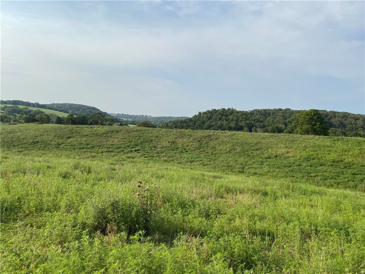 Tbd Madison 8500 Road  Hindsville AR 72738 photo