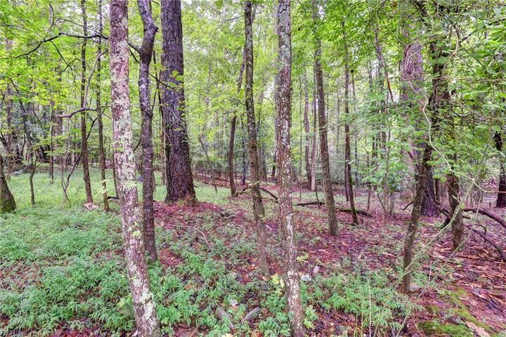 Property Photo:  200 Jolly Pond Rd  VA 23188 