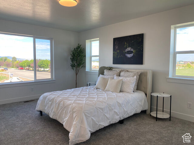 Property Photo: 509 W 400 S UT 84332