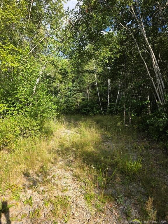Property Photo: 124 Greenhill Lake Road NB E6E 1E9