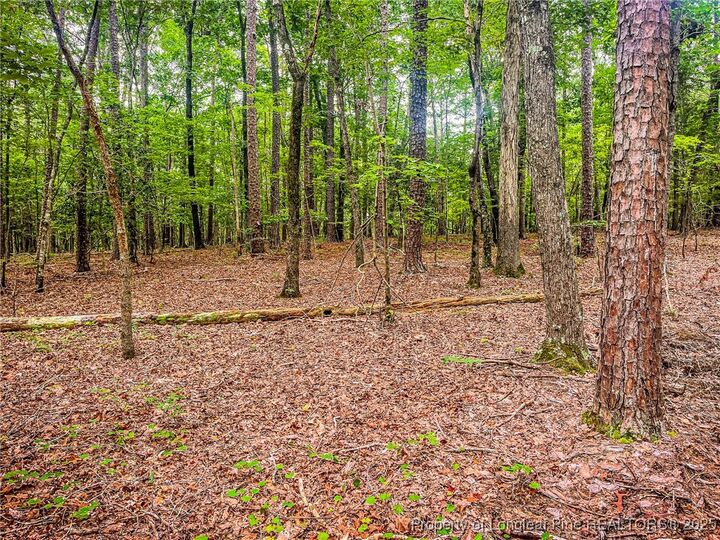 Property Photo: Jennifer Lane NC 27330