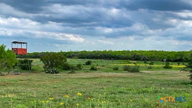 Property Photo: 5602 Fm 2504 TX 78065