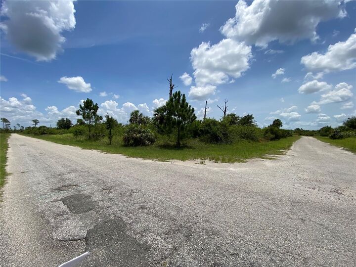 Blueleaf Drive  North Port FL 34288 photo