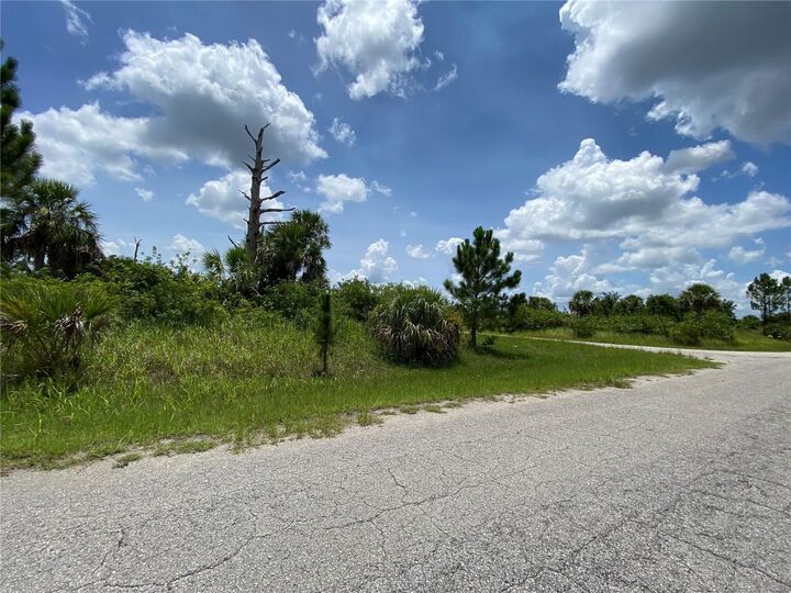 Blueleaf Drive  North Port FL 34288 photo