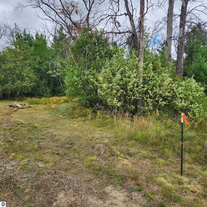 6324 W Pine Point Road  Grayling MI 49738 photo