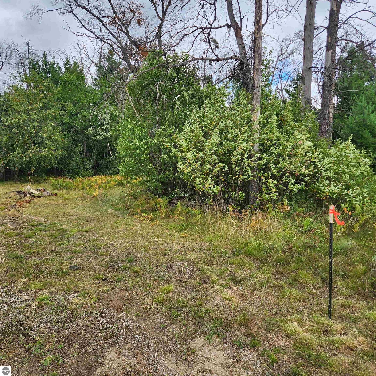 Property Photo:  6324 W Pine Point Road  MI 49738