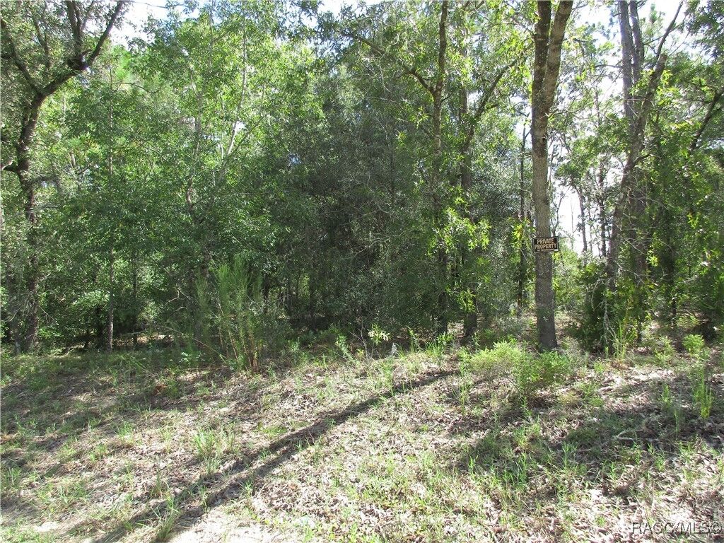 Property Photo: 8339 N Creek Way FL 34434