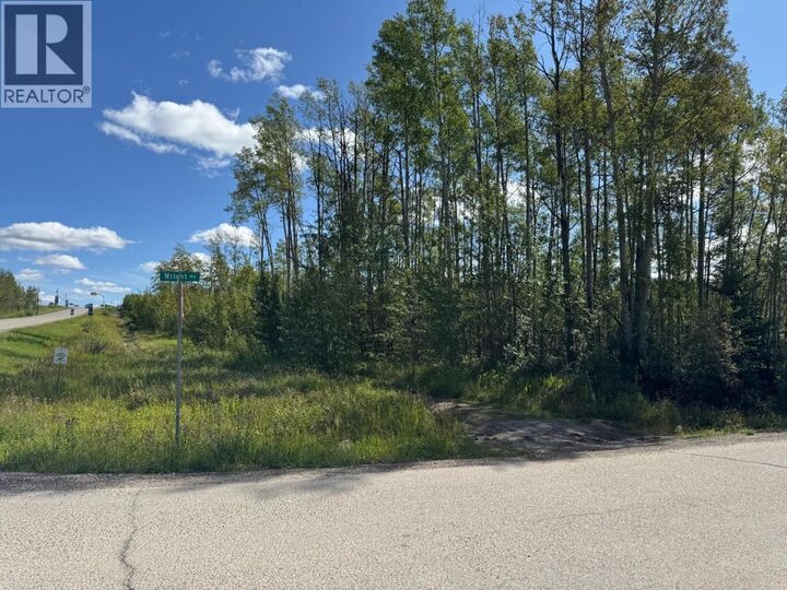 Property Photo:  Lot 2 Highway 29  BC V0C 1H0 