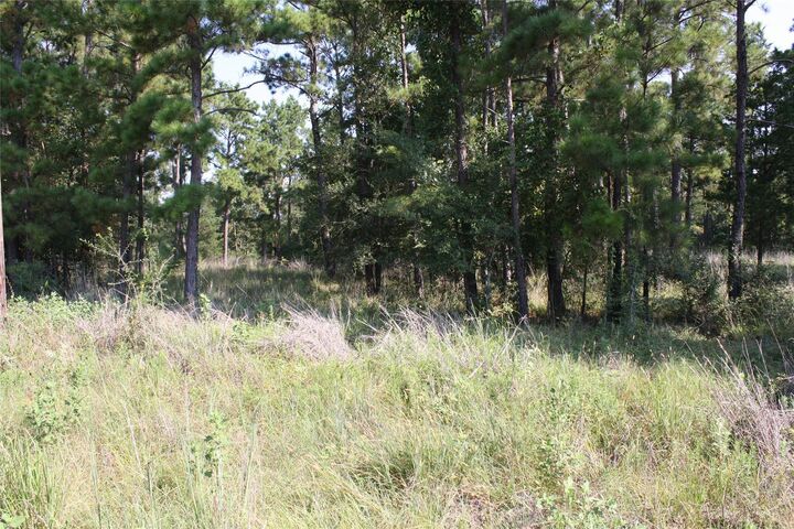 Property Photo: Lot 1 Morris Lane TX 77320