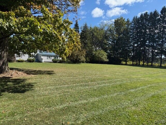 McLean Road  Cortland NY 13045 photo